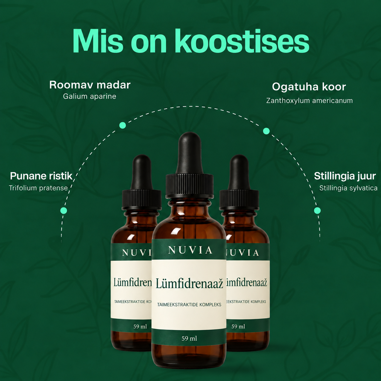 Neli taime Nuvia koostises